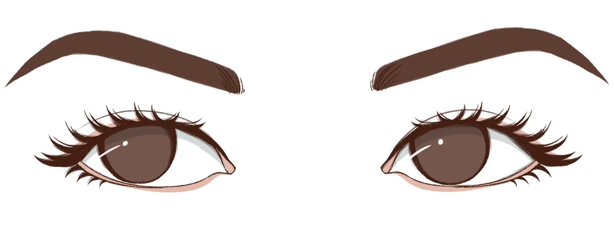 wide set eyes
